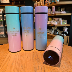 EM GARRAFA INOX 500ML C/TERMOMETRO EM9670