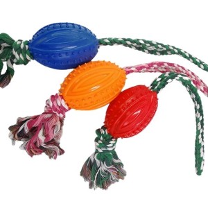 BRINQUEDO BORRACHA COM CORDA ZN 0862