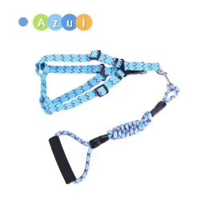 Guia Colorido para Pets ZN0060 - Estilo e Conforto para Seu Melhor Amigo!